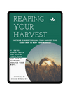 Wealth: 6 Rules of Reaping Your Harvest daily devotionals, morning prayer, scriptures, bible study