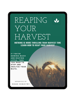Wealth: 6 Rules of Reaping Your Harvest daily devotionals, morning prayer, scriptures, bible study